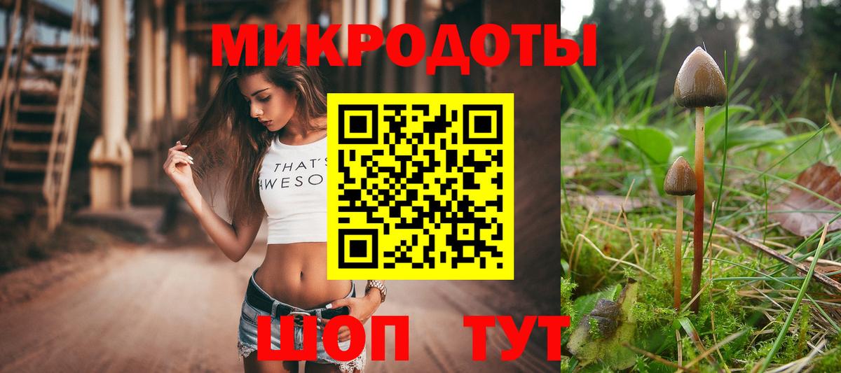 Галлюциногенные грибы ЛСД  Вход с VPN  Галлюциногенные грибы прущие грибы  Черняховск 
