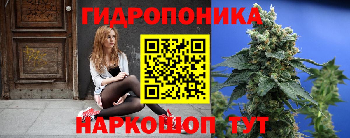 Конопля Ganja Черняховск